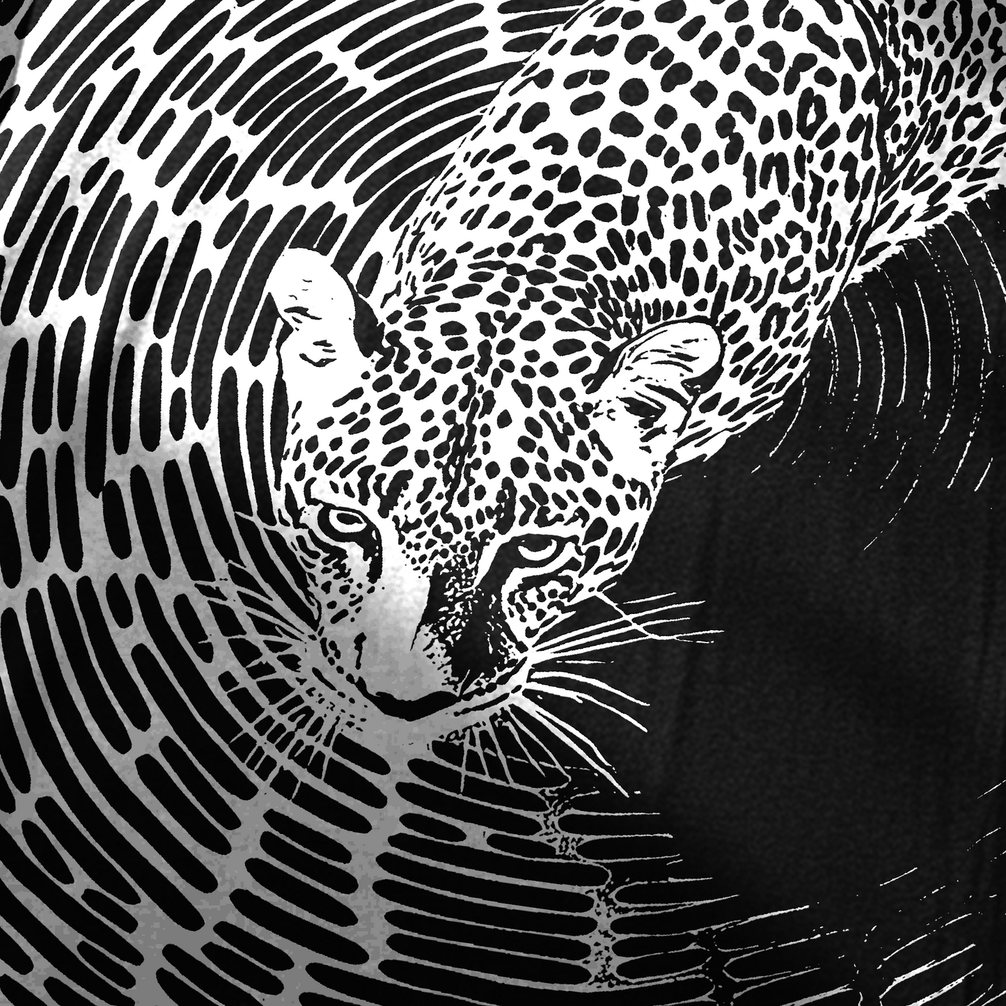 Paardarshi Oversized Tee