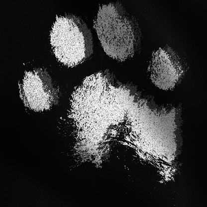 Paws And Pleasure Oversized Hoodie